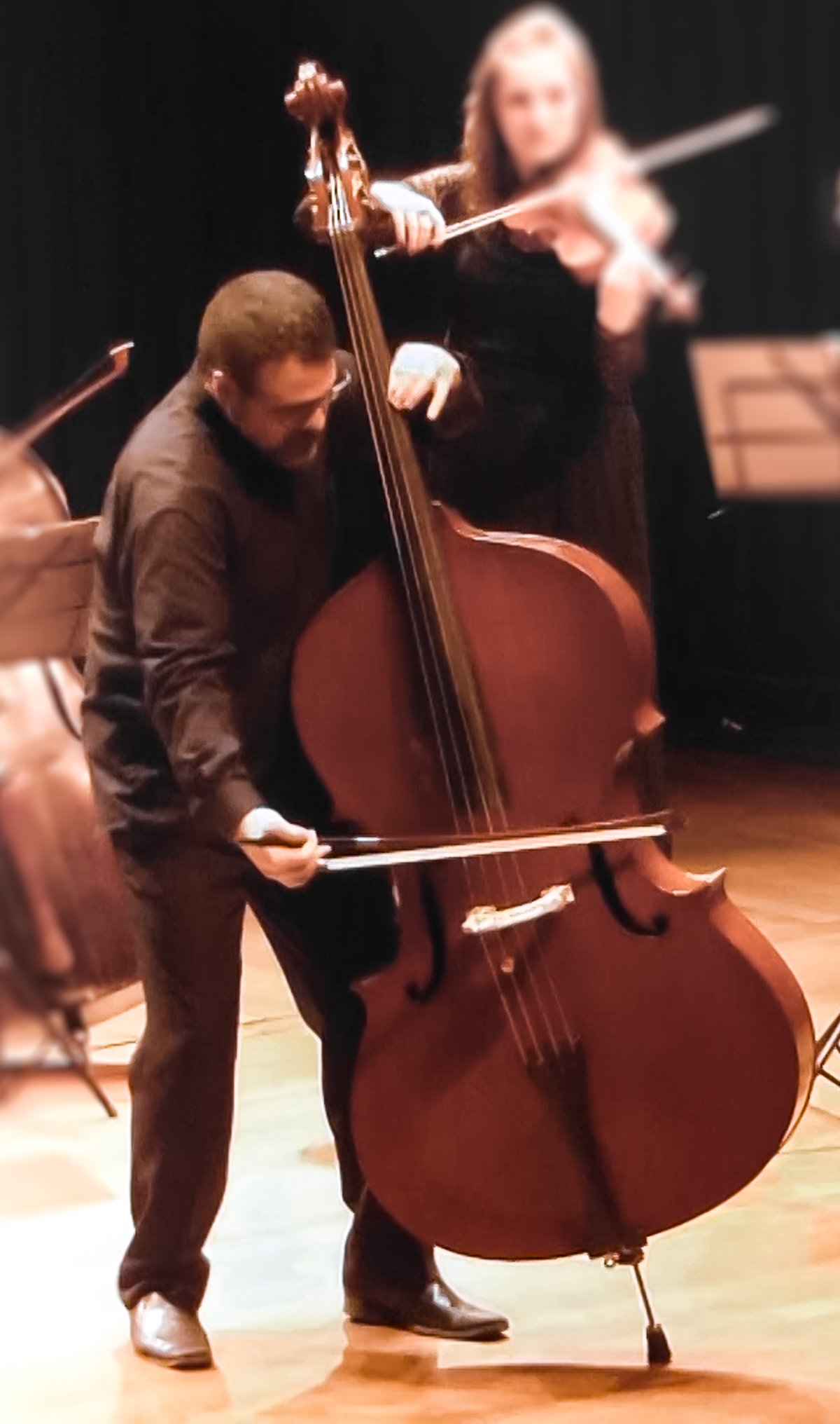 O Que é Contrabaixo Acústico Descubra Quem é O Gigante Das Cordas