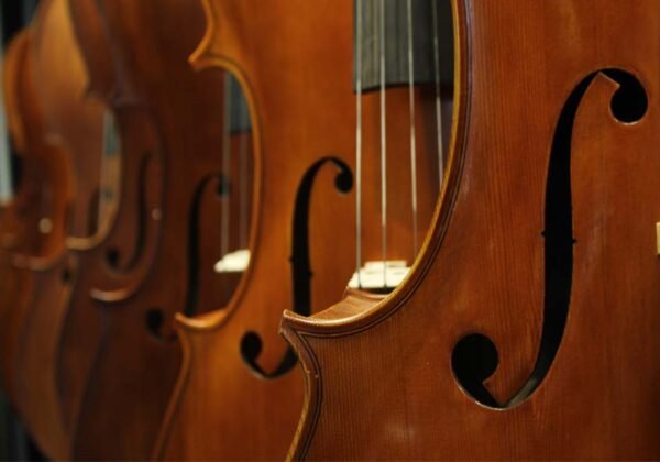 Diferença entre contrabaixo e violoncelo